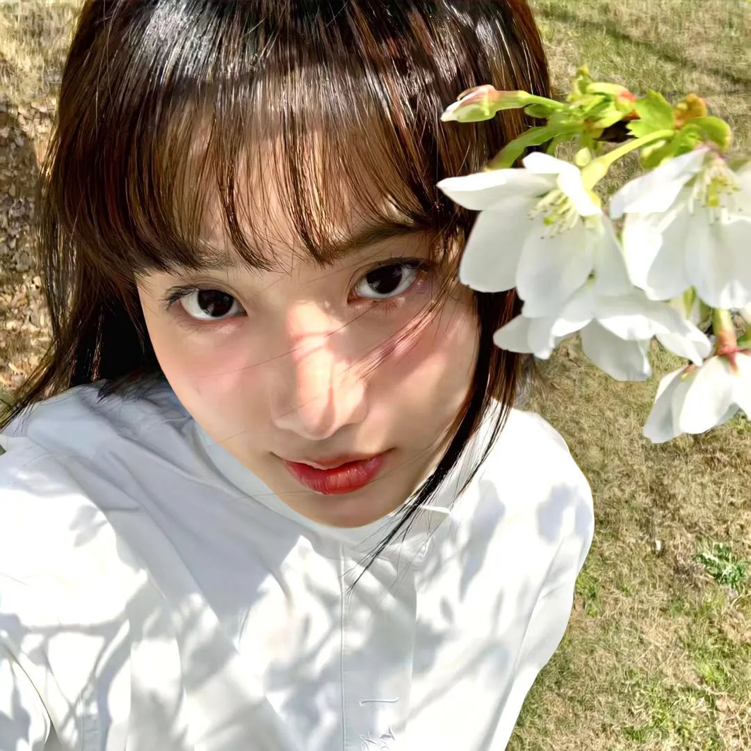 西西里著名的熊入侵事件